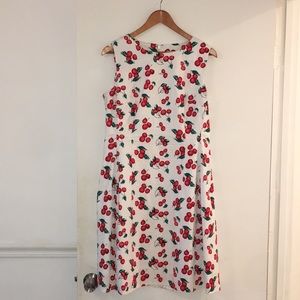 Fit and flare cherry Dress